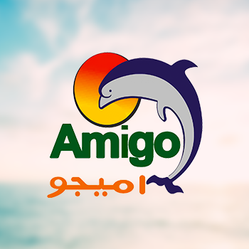 Amigo group