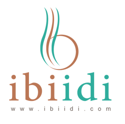 Ibiidi Ltd