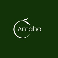 Antaha